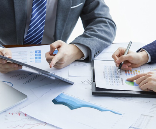 VVD Equity Fund image